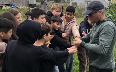 Projektvormittag SOLAWI/Sport 5G, 6G