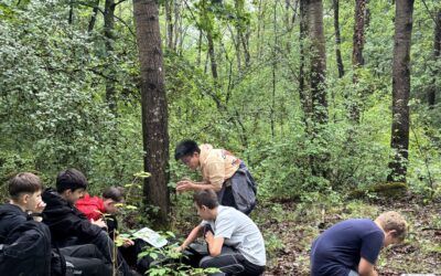 Der Wald – Die 6. Klassen entdecken…. die Natur
